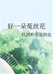 《好一朵菟丝花》封面