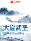 《大宣武圣》封面