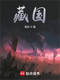 《藏国》封面