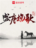 《盛唐挽歌》封面