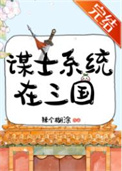 《谋士系统在三国》封面
