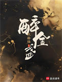 《醉金盏》封面