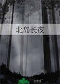 《北岛长夜》封面