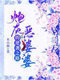 《炮灰恶婆婆的逆袭之路》封面