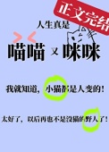 《小猫咪变成人类幼崽后》封面