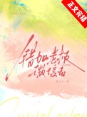 《错加老板微信后》封面