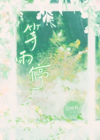 《等雨停》封面