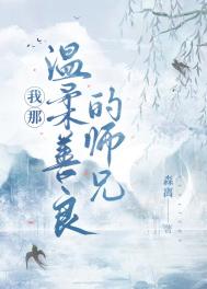 《我那温柔善良的师兄》封面