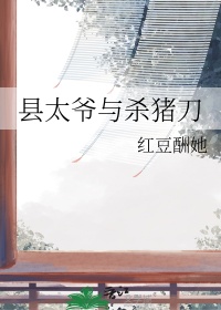 《县太爷与杀猪刀》封面