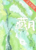 《藏月》封面