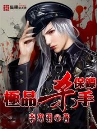 《极品杀手保镖》封面