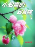《小知青的四合院》封面