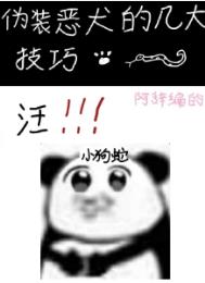 《伪装恶犬的几大技巧》封面