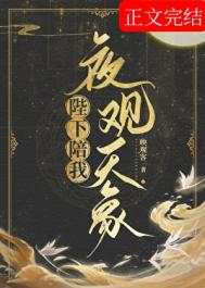 《陛下陪我夜观天象》封面