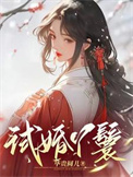 《试婚丫鬟》封面