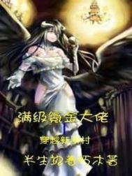 《满级氪金大佬穿越新手村》封面