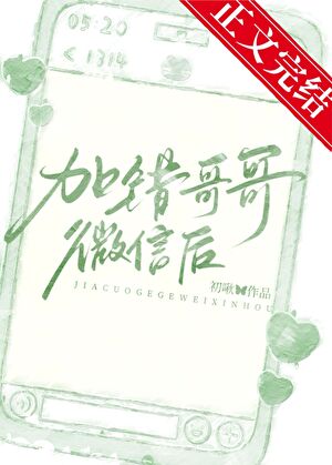 《加错哥哥微信后》封面
