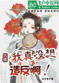 《红楼：我真没想造反啊》封面