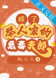 《成了举人家的恶毒夫郎》封面