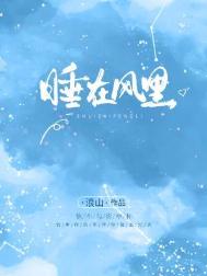 《睡在风里》封面