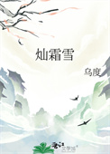《灿霜雪》封面