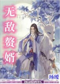 《无敌赘婿》封面