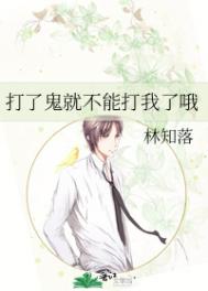 《打了鬼就不能打我了哦》封面
