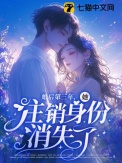 《婚后第三年，她注销身份消失了》封面