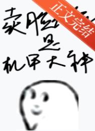 《卖脸花瓶是机甲大神》封面