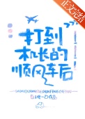 《打到机长的顺风车后》封面