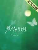 《发梦蜉蝣》封面
