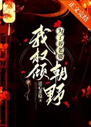 《为了养老婆我权倾朝野》封面