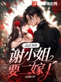 《沈总勿扰，谢小 姐要二嫁了》封面