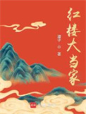 《红楼大当家》封面