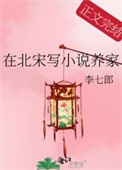 《在北宋写小说养家》封面