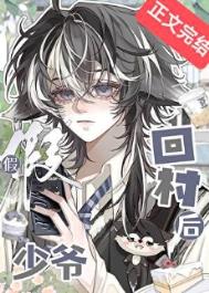 《假少爷回村后》封面