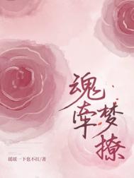 《魂牵梦撩》封面