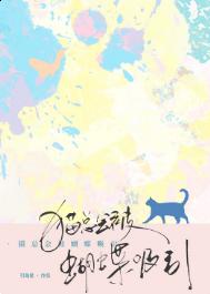 《猫总会被蝴蝶吸引》封面