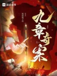 《九章奇案》封面