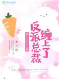 《重生后又被反派总裁缠上了》封面