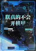 《朕真的不会开机甲》封面