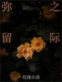 《弥留之际》封面