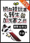 《（综漫同人）锁血挂玩家转生加茂家之后》封面