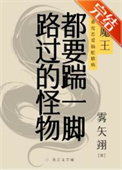 《路过的怪物都要踹一脚》封面