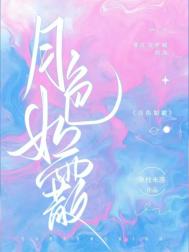 《月色如霰》封面