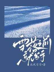 《雪落之前就分手》封面