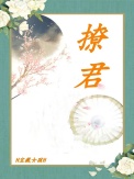 《撩君》封面