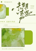 《未期嘉遇》封面
