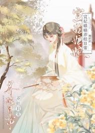 《宣妃娘娘养娃日常(清穿)》封面