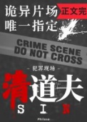 《无限副本唯一指定清道夫》封面